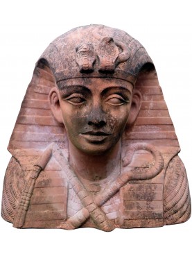 Terracotta Tutankhamon bust large size