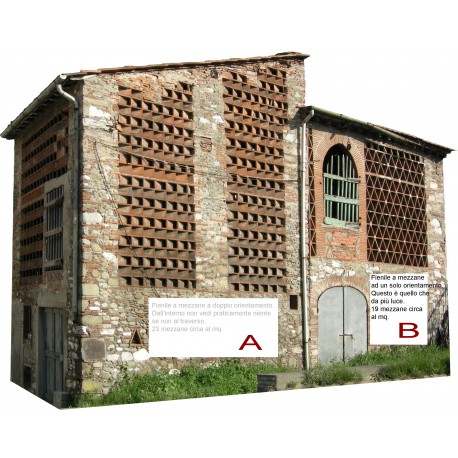 Barn from Lucca