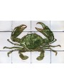 Green Crab majolica panel