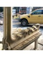 Yellow marble fireplace frame