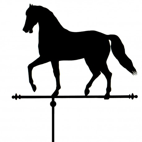 Banderuola cavallo