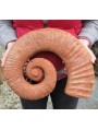 Ammonite Eteromorfa fossil clay cast