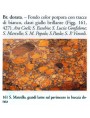 Manuale dei marmi Romani antichi, di H.W.Pullen