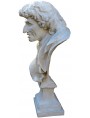 Busto in gesso di Antonio MAGLIABECHI bibliotecario