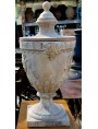 Medici's Vase - Cosimo 1th de' Medici