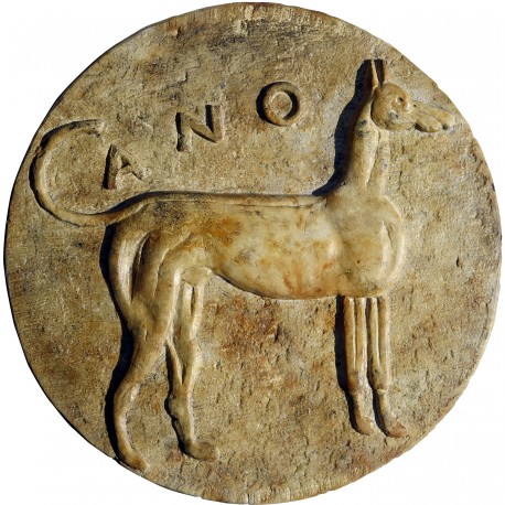 Tondo del LEVRIERO siculo - copia di una moneta Palermitana 415-410 a.C. 