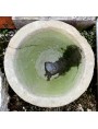 Round Sand-Stone mortar sink - garden