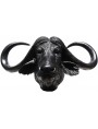 Resin Head of African buffalo or Cape buffalo