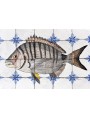 Fishes majolica panel - Seabream - 20 tiles