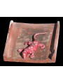 Red salamander on the roof tile