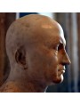 Busto dei Musei Capitolini in marmo greco inv. MC 562
