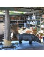 Work in progress formation - Durer Rhino # 10588