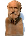 Diogene di Sinope erma busto in terracotta - filosofo