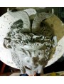 Terzo giorno Work in progress modellatura mascherone in argilla