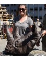 Testa di Rinoceronte in terracotta trofeo