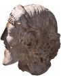 Fufluns il Bacco etrusco - testa in terracotta