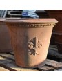 Conchino da Limoni con giglio fiorentivo vaso terracotta