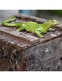 European green lizard - beautiful hand-made artefact