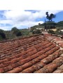 Il tetto di una nostra amica di Lucca