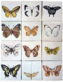 Butterfly majolica Panel 12 tiles 15x15 cm 430 €