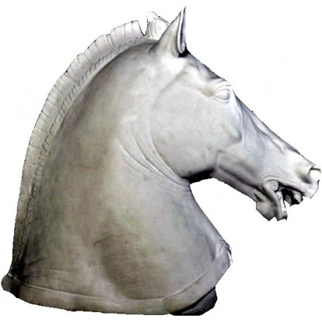Testa di Cavallo greco della Galleria degli Uffizi gesso