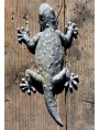 Tiled gecko - Tarentola mauritanica