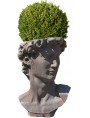 David di Michelangelo testa vaso da fiori terracotta