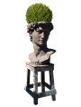 David di Michelangelo testa vaso da fiori terracotta