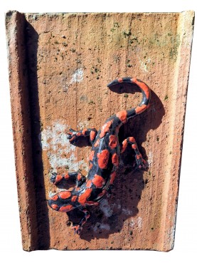 Majolica Salamander on ancient rooftile