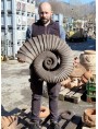 Ammonite heteromorphous sculpture reproduction dark patina