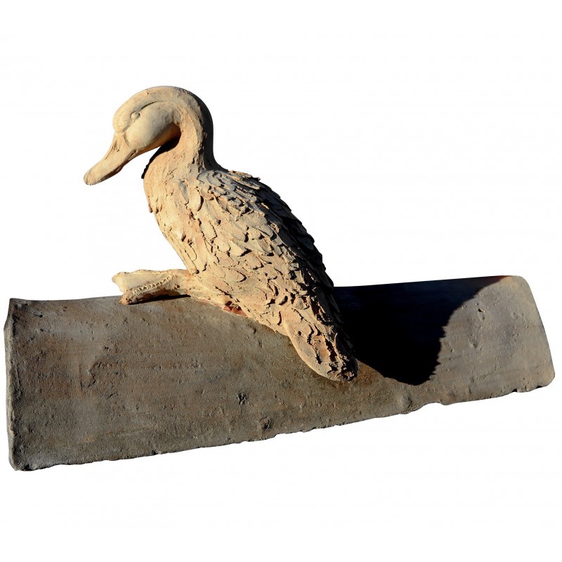 The duck on the roof tile - Recuperando