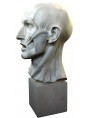 1:1 Head of Flayed Man by Houdon in plaster-cast