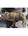 Balck Rhinoceros hook-lipped in terracotta