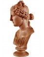 Ideal portrait of a Greek woman