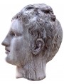 Testa di Apollo in terracotta - copia romana dei Musei Capitolini