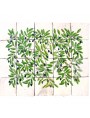 Olive tree majolica panel - 20 tiles