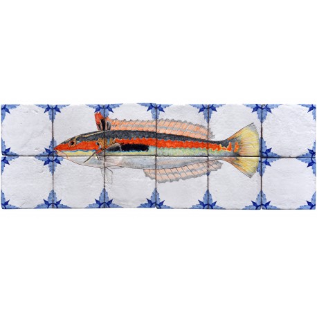 Fishes majolica panel - rainbow wrasse - Coris julis