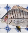Fishes majolica panel - Seabream - 20 tiles