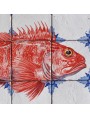 Fishes majolica panel - red scorpionfish - Scorpaena scrofa