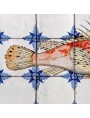 Fishes majolica panel - small red scorpionfish - Scorpaena notata