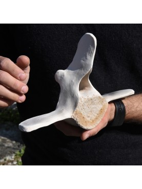 Whale vertebra small size terracotta
