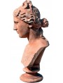 Ideal portrait of a Greek woman