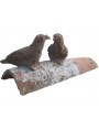 Tegola antica con due piccioni