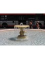 Fountain of Piazza Colonna