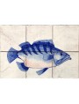 pannello pesci blu su fondo bianco