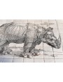 Pannello Rinoceronte del Durer - 70 piastrelle 15x15 cm