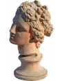 Terracotta head of the Venus de' Medici or Medici Venus