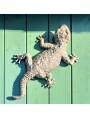 Tiled gecko - Tarentola mauritanica - large size