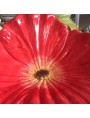 Majolica seat - red poppy