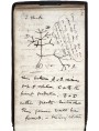 Uno dei primi disegni di Darwin schematizzanti la successione filogenetica